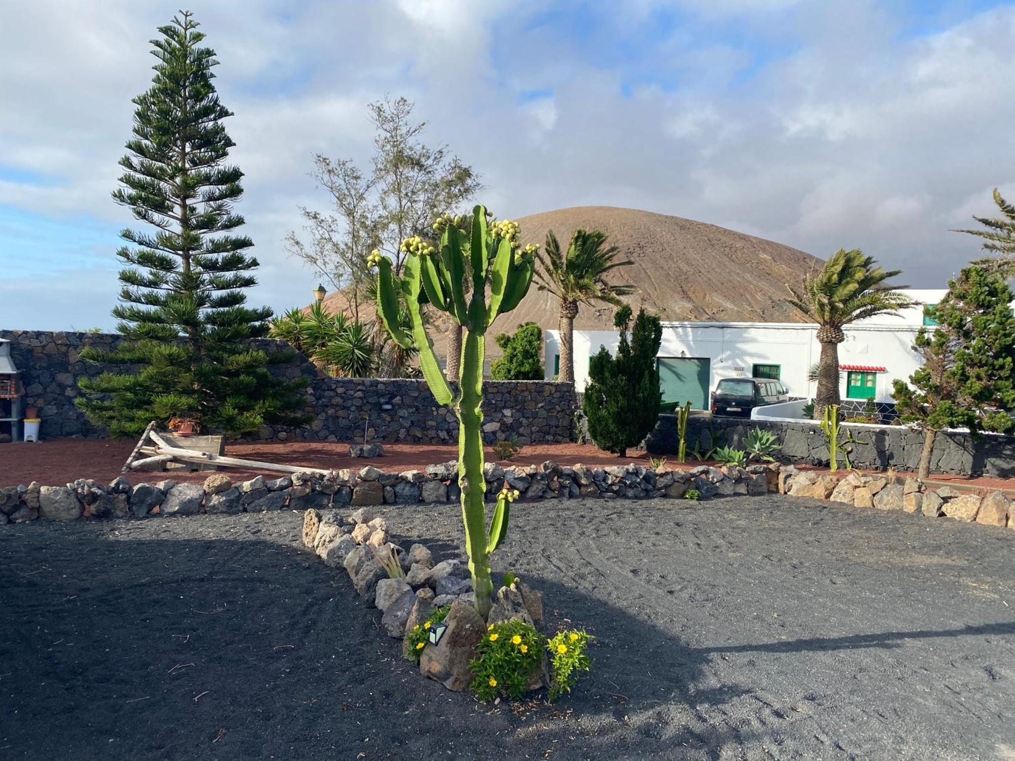 Casa Valeria Ferienhaus Tinajo